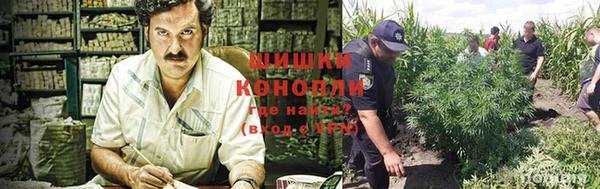 Альфа ПВП Надым